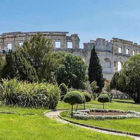 Apartment Olive Garden Near Pula 3 Km From Center And Only 4 Km From The Beach For 4 Persons Εξωτερικό φωτογραφία